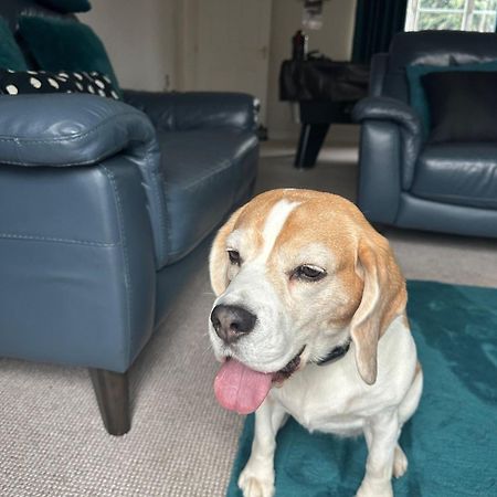 Hereford - Finch House - Modern 4 Bedroom House Located In South Hereford, Dog Friendly With Nearby Countryside, Pool Table, Sleeps Up To 10 Guests - Hosted By Rentmyhouse Εξωτερικό φωτογραφία
