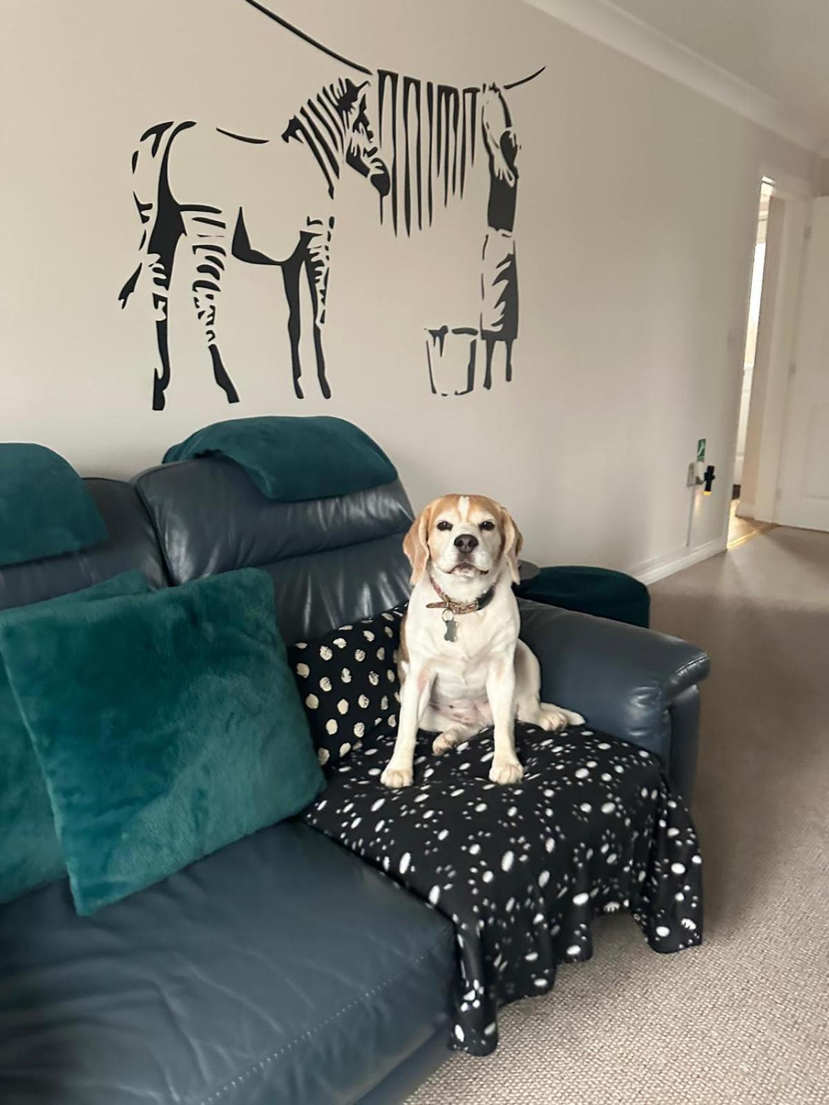 Hereford - Finch House - Modern 4 Bedroom House Located In South Hereford, Dog Friendly With Nearby Countryside, Pool Table, Sleeps Up To 10 Guests - Hosted By Rentmyhouse Εξωτερικό φωτογραφία