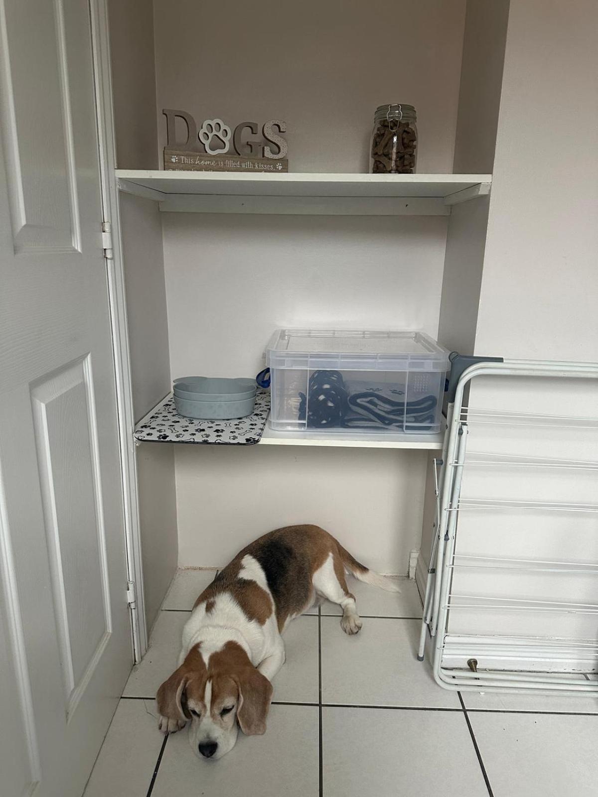 Hereford - Finch House - Modern 4 Bedroom House Located In South Hereford, Dog Friendly With Nearby Countryside, Pool Table, Sleeps Up To 10 Guests - Hosted By Rentmyhouse Εξωτερικό φωτογραφία
